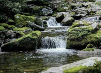 08/24/2025 교회소식