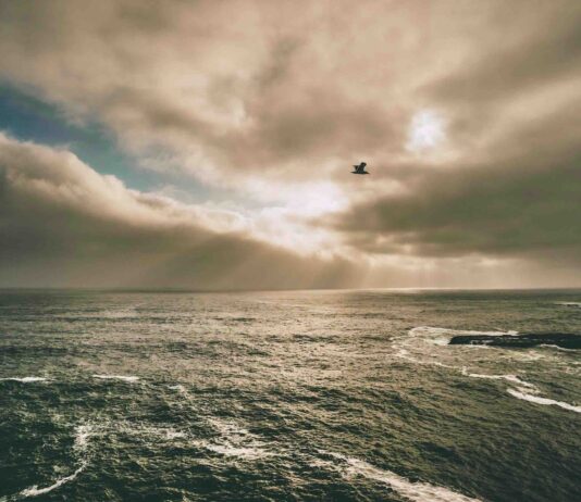 성령의 시대! 성령님을 바로 이해하라! 조직신학_성령론(1)