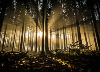 09/07/2025 교회소식