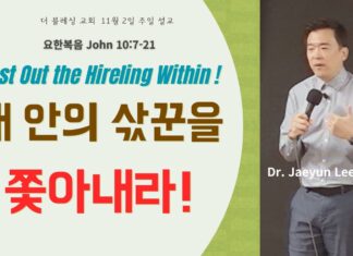 내 안의 삯꾼을 쫓아내라 11월 2일