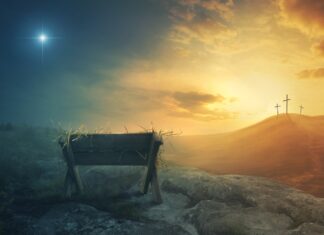A Word for You: Experiencing the Cross in the Midst of Christmas Joy