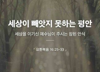 설교 카드 | 세상이 빼앗지 못하는 평안