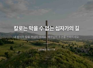 카드뉴스 | 칼로는 막을 수 없는 십자가의 길