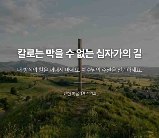 카드뉴스 | 칼로는 막을 수 없는 십자가의 길