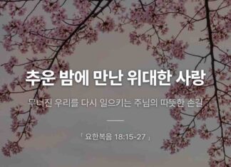 카드뉴스 | 추운 밤에 만난 위대한 사랑