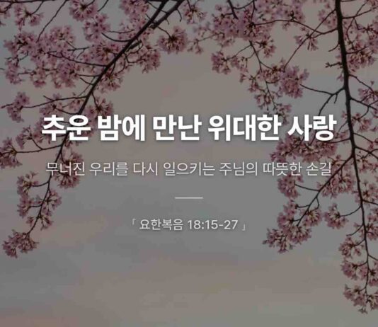 카드뉴스 | 추운 밤에 만난 위대한 사랑
