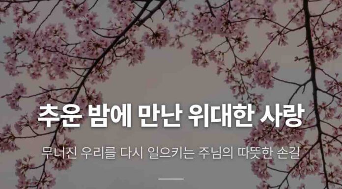 카드뉴스 | 추운 밤에 만난 위대한 사랑