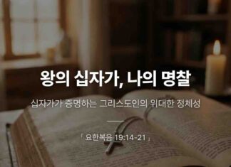 카드뉴스 | 왕의 십자가, 나의 명찰