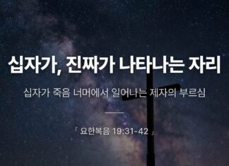 카드뉴스 | 십자가, 진짜가 나타나는 자리
