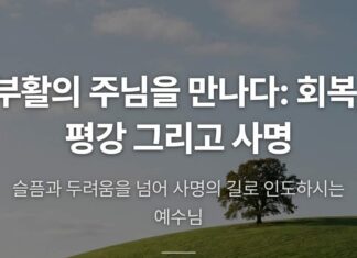 카드뉴스 | 부활의 주님을 만나다: 회복, 평강 그리고 사명