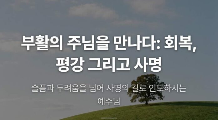 카드뉴스 | 부활의 주님을 만나다: 회복, 평강 그리고 사명