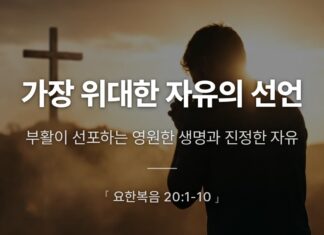 카드뉴스 | 가장 위대한 자유의 선언