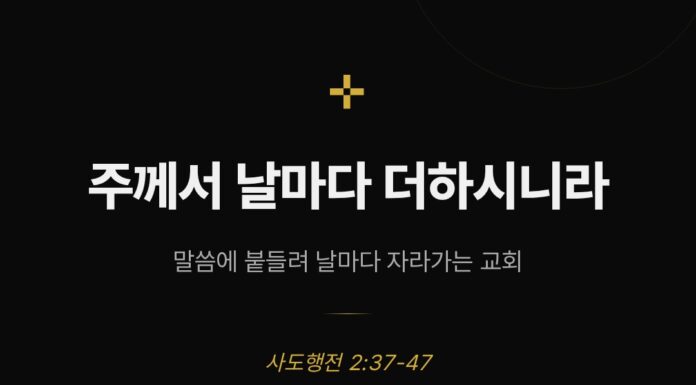 카드뉴스 | 주께서 날마다 더하시니라 Sep 13.2026